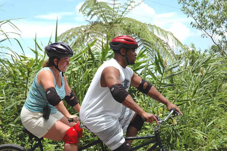 Blue Mountain Bicycle Tours 