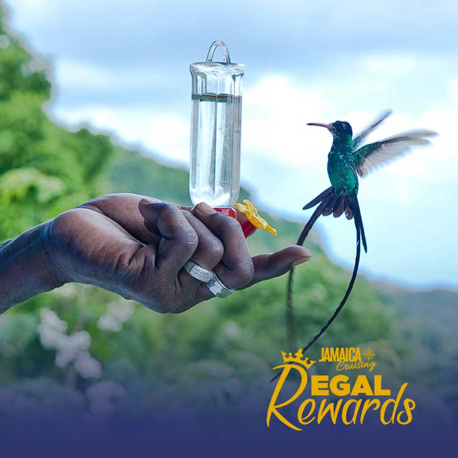 Regal Rewards Program