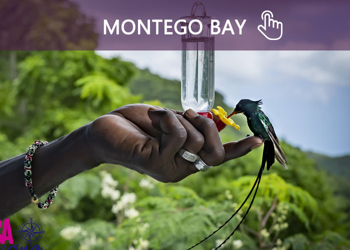 Attractions in Montego Bay Jamaica