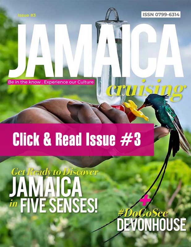 Jamaica Cruising Newsletter Issue #3