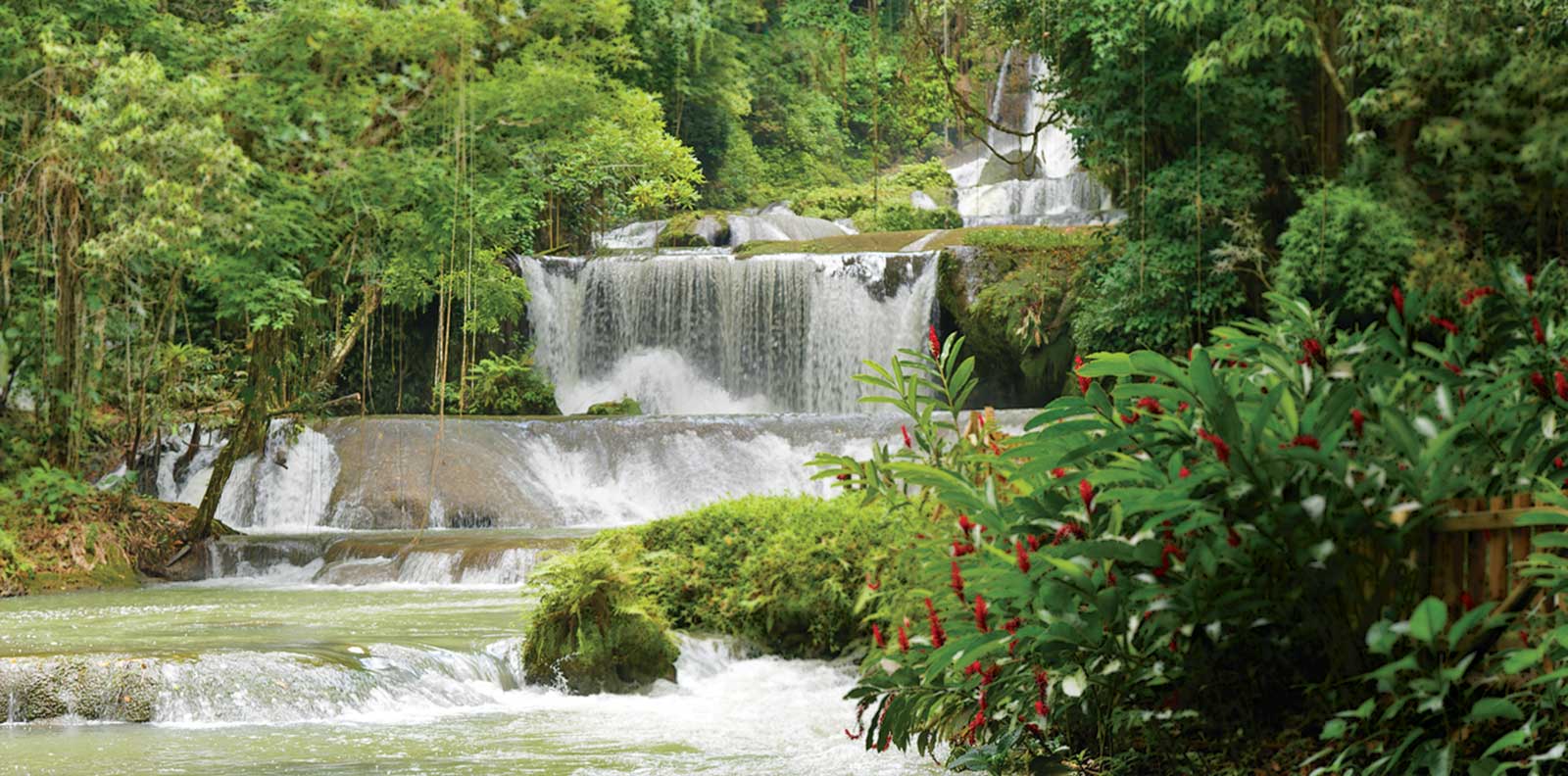     YS Falls